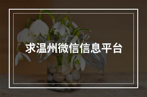 求温州微信信息平台