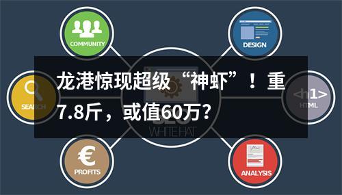 龙港惊现超级“神虾”！重7.8斤，或值60万？