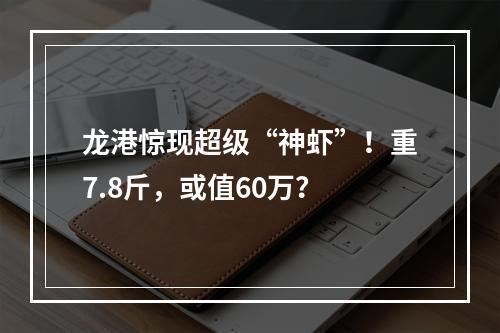 龙港惊现超级“神虾”！重7.8斤，或值60万？
