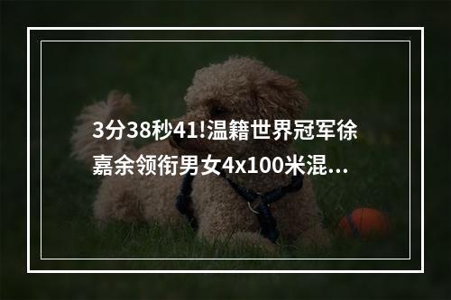 3分38秒41!温籍世界冠军徐嘉余领衔男女4x100米混合泳接力破世界纪录