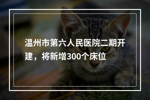 温州市第六人民医院二期开建，将新增300个床位