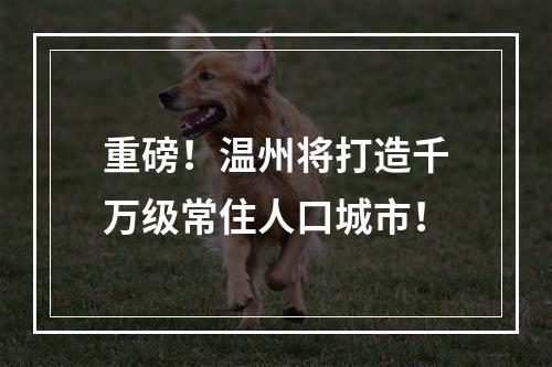 重磅！温州将打造千万级常住人口城市！