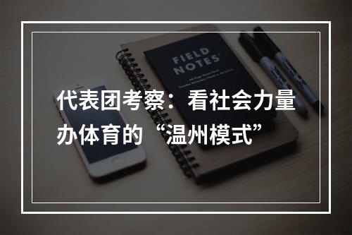 代表团考察：看社会力量办体育的“温州模式”