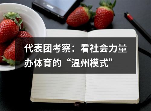 代表团考察：看社会力量办体育的“温州模式”