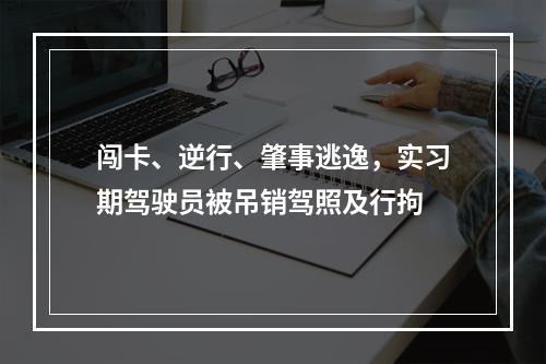 闯卡、逆行、肇事逃逸，实习期驾驶员被吊销驾照及行拘