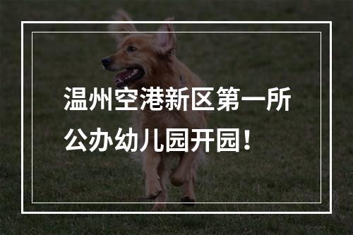 温州空港新区第一所公办幼儿园开园！
