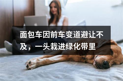 面包车因前车变道避让不及，一头栽进绿化带里