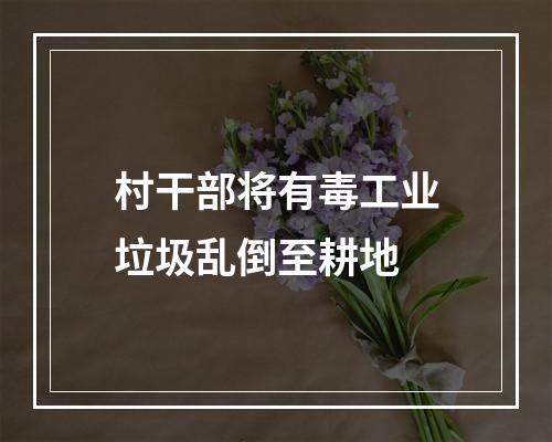 村干部将有毒工业垃圾乱倒至耕地