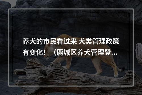 养犬的市民看过来 犬类管理政策有变化！（鹿城区养犬管理登记定点机构名单公示）
