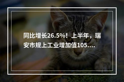 同比增长26.5%！上半年，瑞安市规上工业增加值105.4亿元