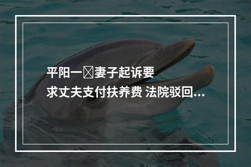 平阳一​妻子起诉要求丈夫支付扶养费 法院驳回诉讼请求