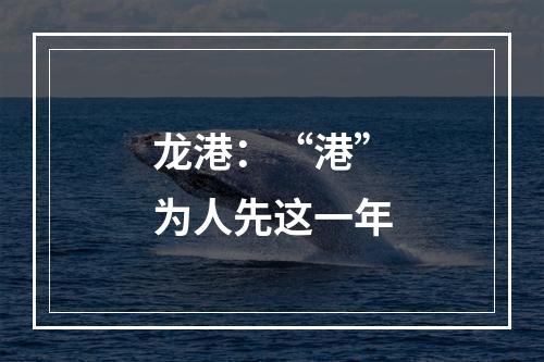 龙港：“港”为人先这一年