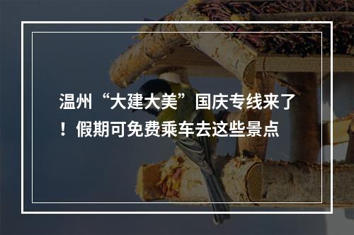 温州“大建大美”国庆专线来了！假期可免费乘车去这些景点