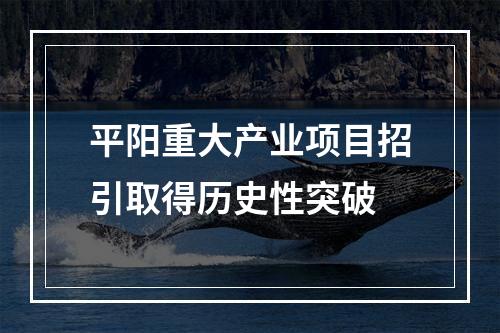 平阳重大产业项目招引取得历史性突破