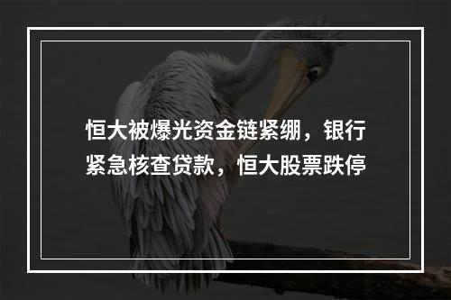 恒大被爆光资金链紧绷，银行紧急核查贷款，恒大股票跌停