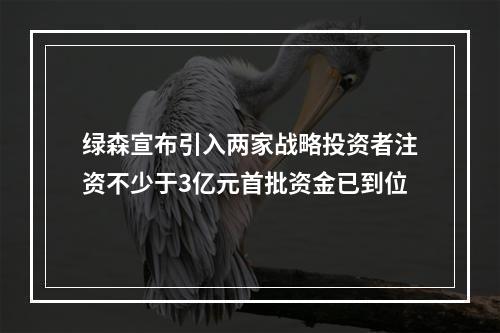 绿森宣布引入两家战略投资者注资不少于3亿元首批资金已到位