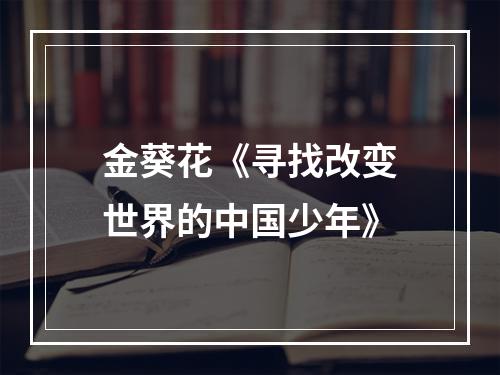 金葵花《寻找改变世界的中国少年》