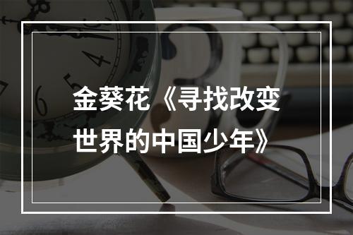 金葵花《寻找改变世界的中国少年》