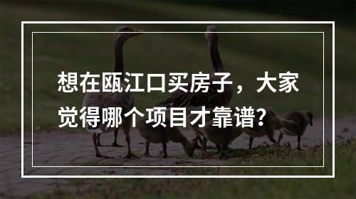 想在瓯江口买房子，大家觉得哪个项目才靠谱？