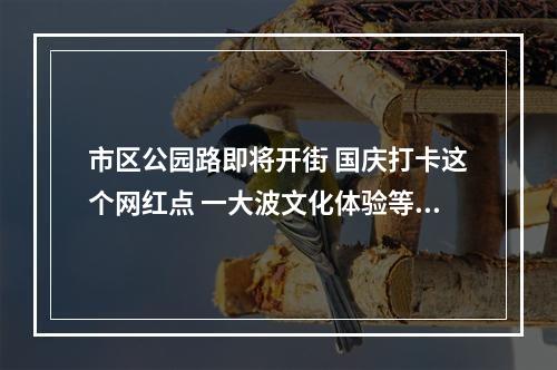 市区公园路即将开街 国庆打卡这个网红点 一大波文化体验等着你