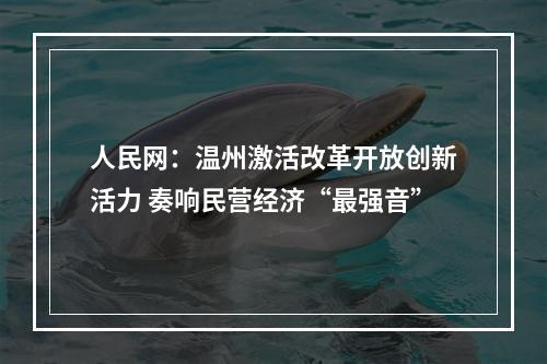 人民网：温州激活改革开放创新活力 奏响民营经济“最强音”