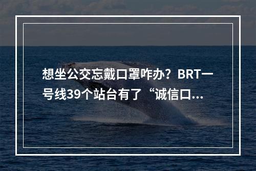 想坐公交忘戴口罩咋办？BRT一号线39个站台有了“诚信口罩”