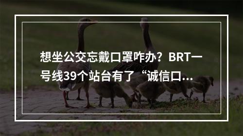 想坐公交忘戴口罩咋办？BRT一号线39个站台有了“诚信口罩”