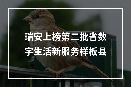 瑞安上榜第二批省数字生活新服务样板县
