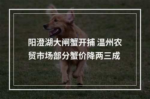 阳澄湖大闸蟹开捕 温州农贸市场部分蟹价降两三成