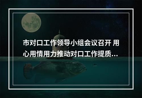 市对口工作领导小组会议召开 用心用情用力推动对口工作提质增效