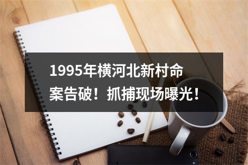 1995年横河北新村命案告破！抓捕现场曝光！