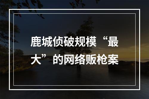 鹿城侦破规模“最大”的网络贩枪案