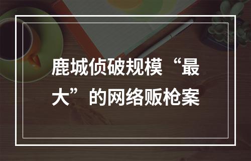 鹿城侦破规模“最大”的网络贩枪案