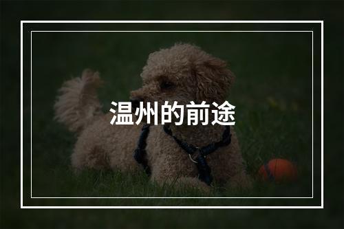 温州的前途