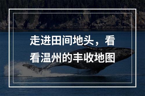 走进田间地头，看看温州的丰收地图