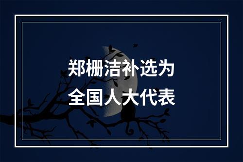郑栅洁补选为全国人大代表