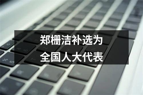 郑栅洁补选为全国人大代表