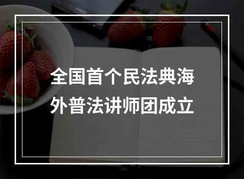全国首个民法典海外普法讲师团成立