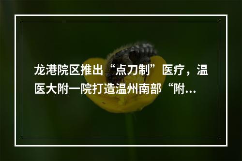 龙港院区推出“点刀制”医疗，温医大附一院打造温州南部“附一院”