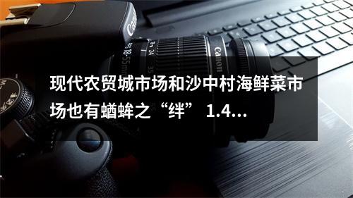 现代农贸城市场和沙中村海鲜菜市场也有蝤蛑之“绊” 1.44斤蝤蛑三成是给绳子“埋单”