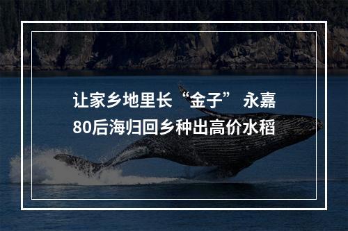 让家乡地里长“金子” 永嘉80后海归回乡种出高价水稻