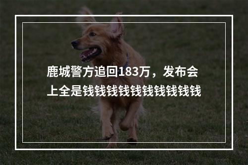 鹿城警方追回183万，发布会上全是钱钱钱钱钱钱钱钱钱钱