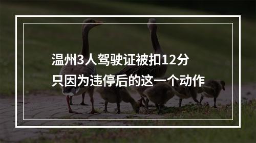 温州3人驾驶证被扣12分 只因为违停后的这一个动作