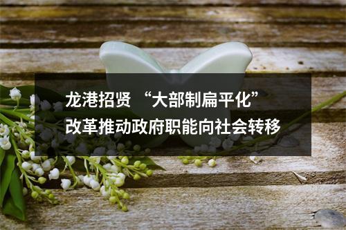 龙港招贤 “大部制扁平化”改革推动政府职能向社会转移