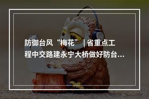 防御台风“梅花” | 省重点工程中交路建永宁大桥做好防台工作