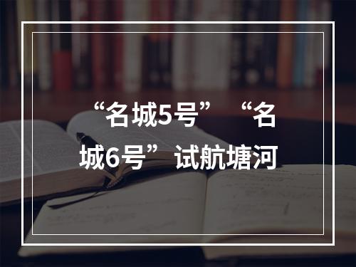 “名城5号”“名城6号”试航塘河