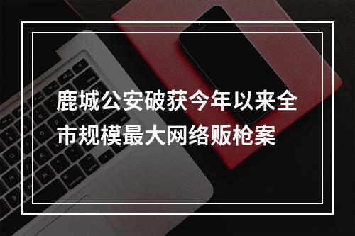 鹿城公安破获今年以来全市规模最大网络贩枪案