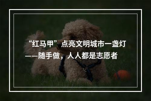 “红马甲”点亮文明城市一盏灯——随手做，人人都是志愿者