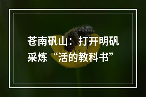 苍南矾山：打开明矾采炼“活的教科书”