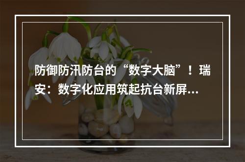 防御防汛防台的“数字大脑”！瑞安：数字化应用筑起抗台新屏障